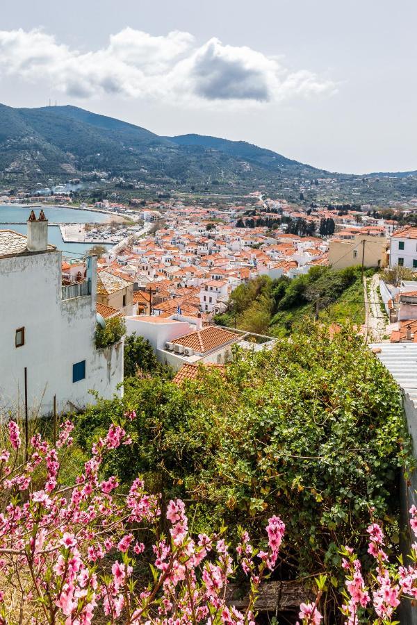 Vasia House Skopelos Buitenkant foto